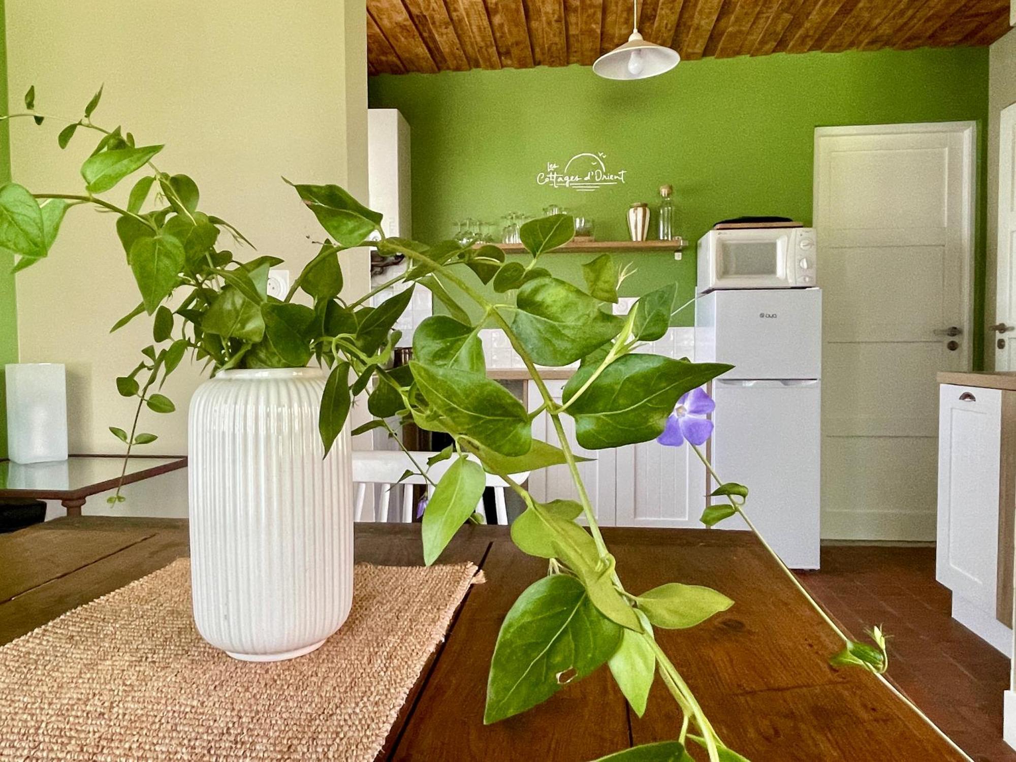 Les Cottages D'Orient Gite Boutique Меній-Сен-Пер Екстер'єр фото
